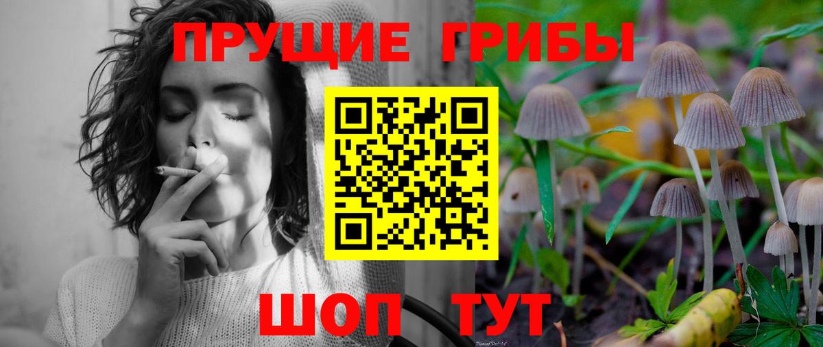 Галлюциногенные грибы MAGIC MUSHROOMS Новоалтайск